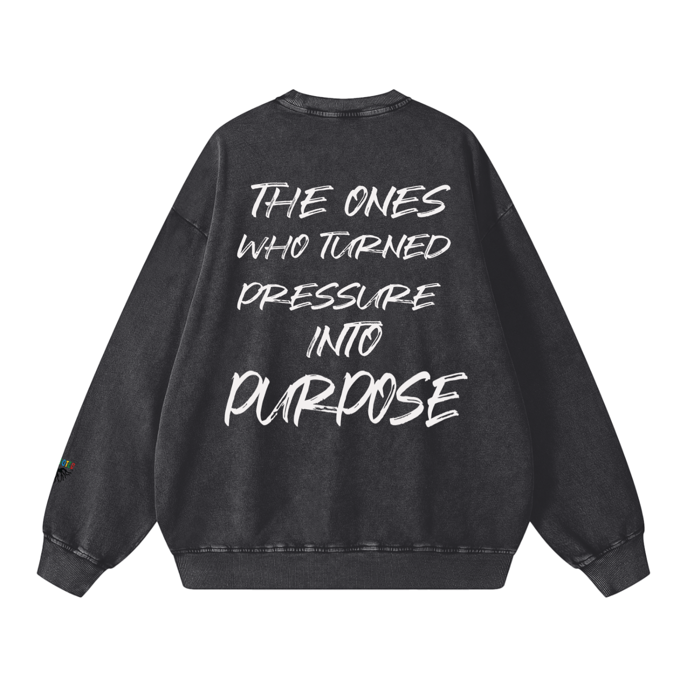 Snow Washed Oversized Sweatshirt