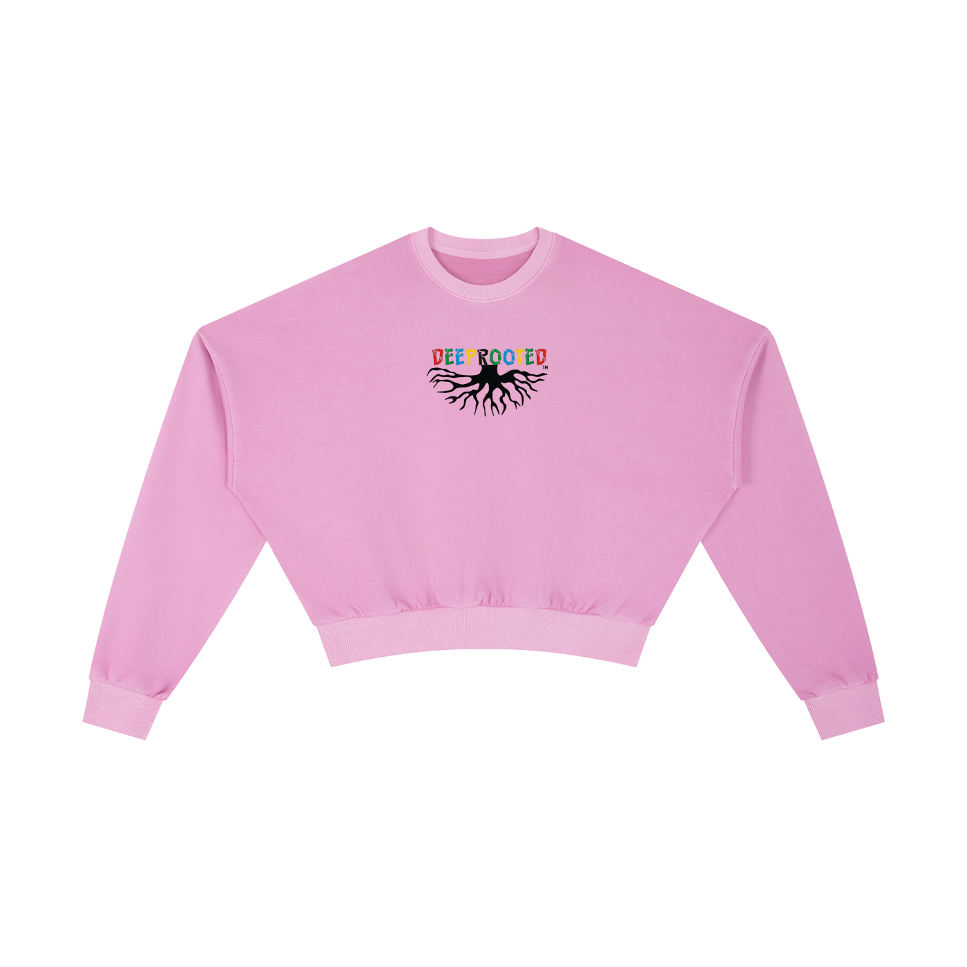 Vintage Washed Cropped Sweatshirt