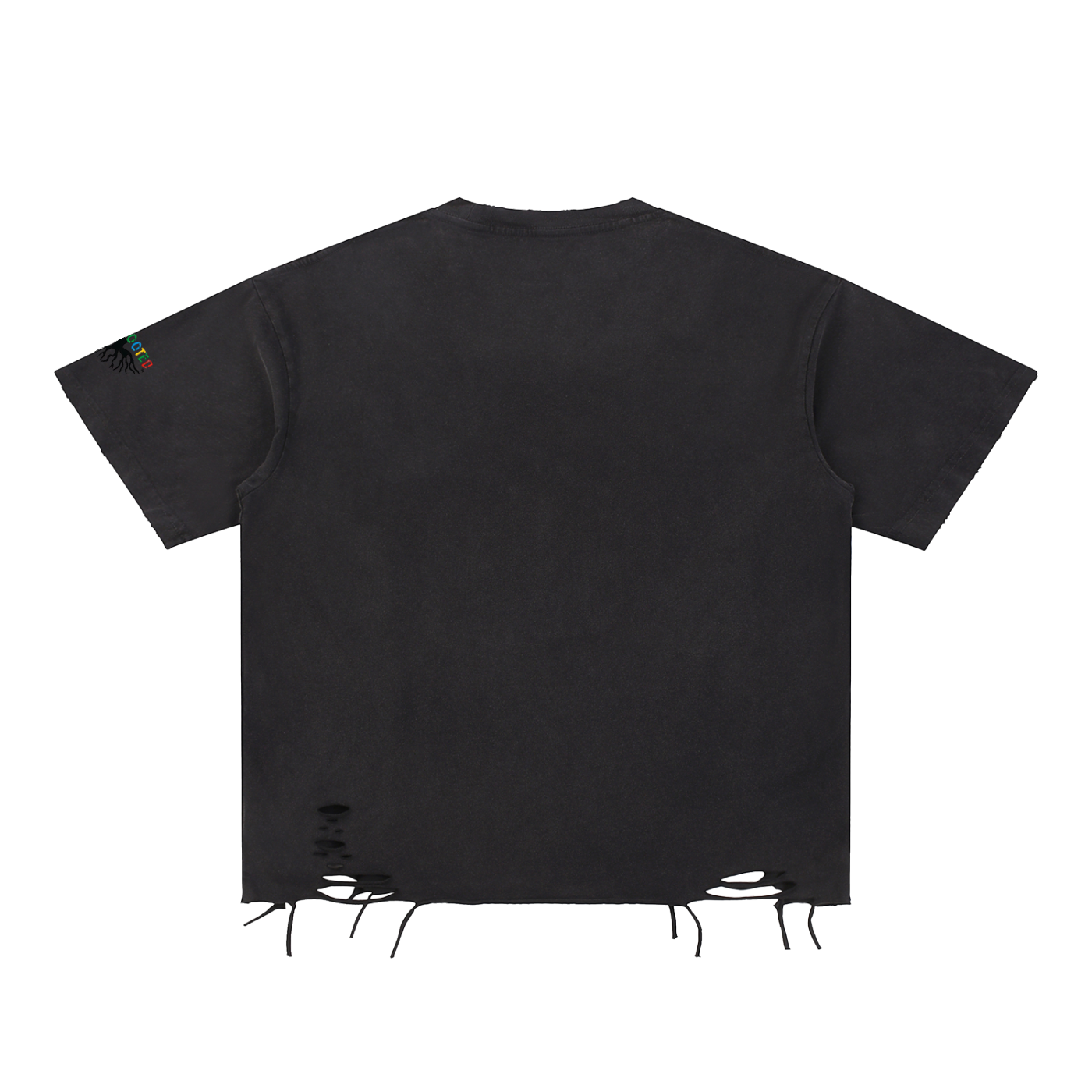 Snow Washed Raw-Hem T-Shirt