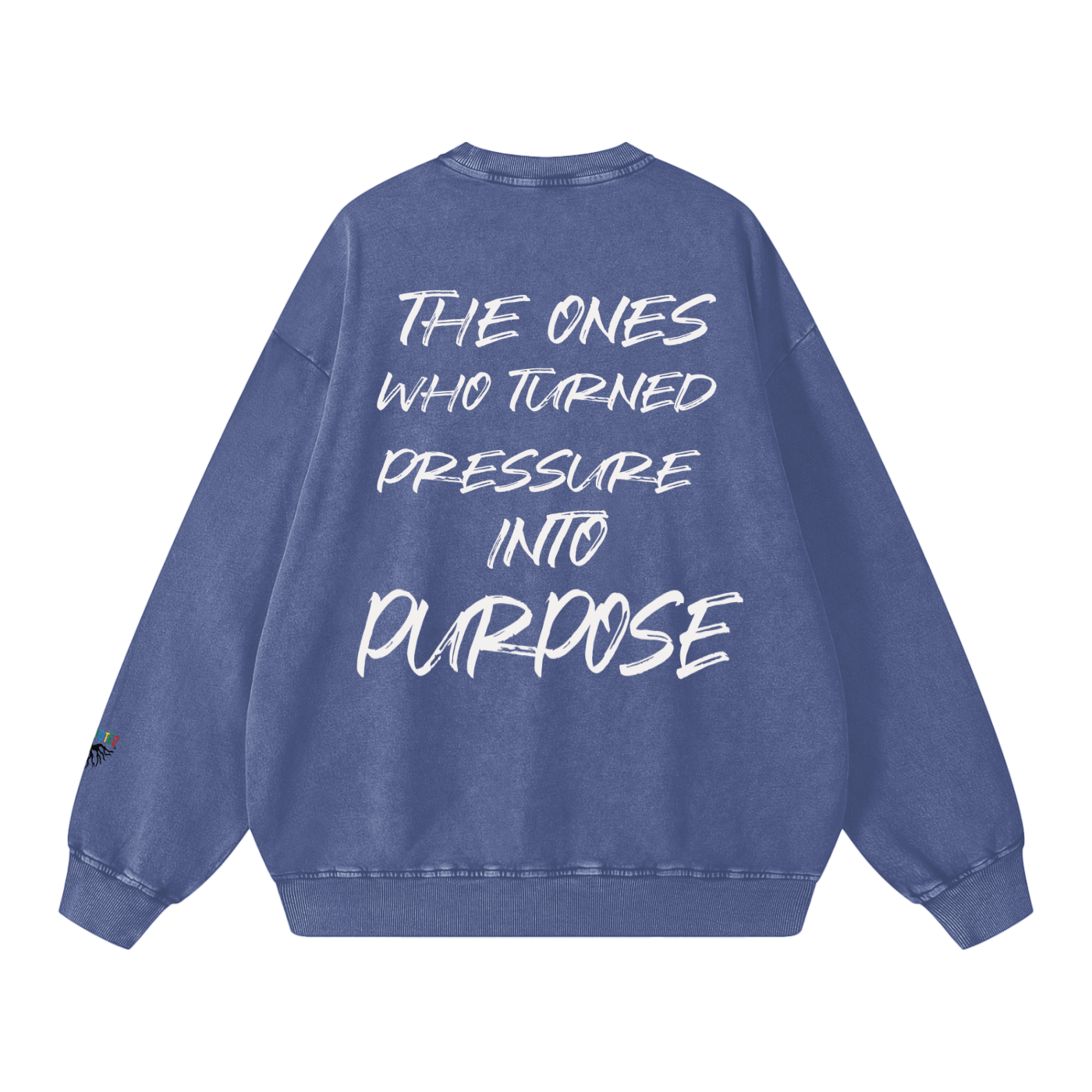 Snow Washed Oversized Sweatshirt